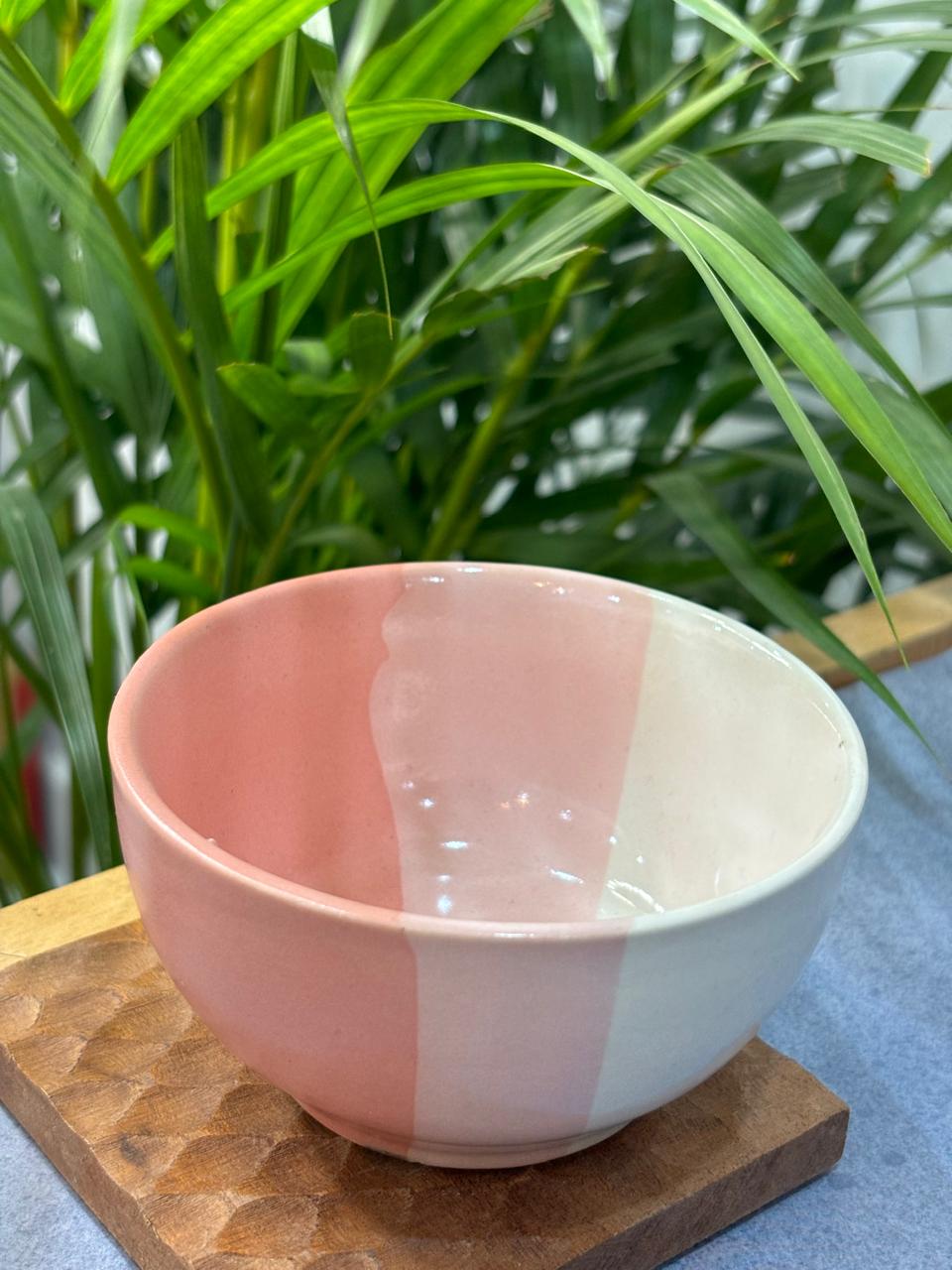 Pink Dual Shade Curry Bowl Set of 2